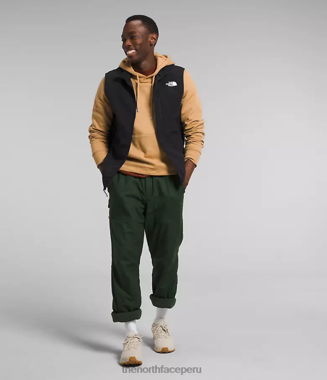 The North Face chaleco biónico apex 3 hombres ropa 00TVT1067 negro