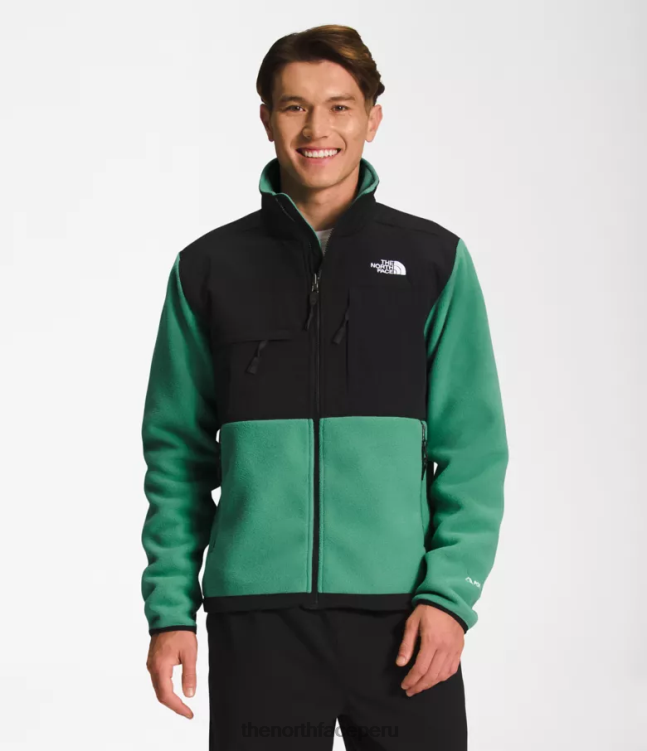 The North Face chaqueta denali hombres ropa 00TVT197 verde hierba intenso