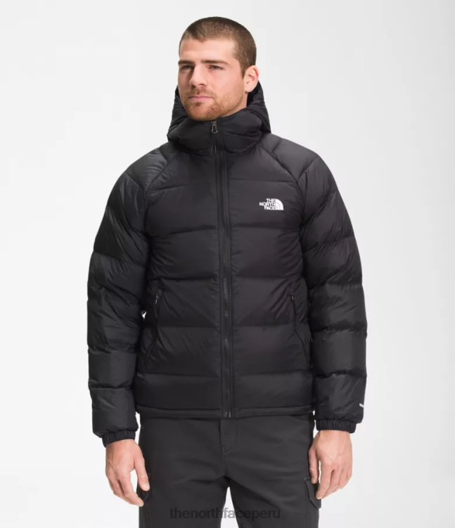 The North Face sudadera con capucha de hidrenalita hombres ropa 00TVT639 negro