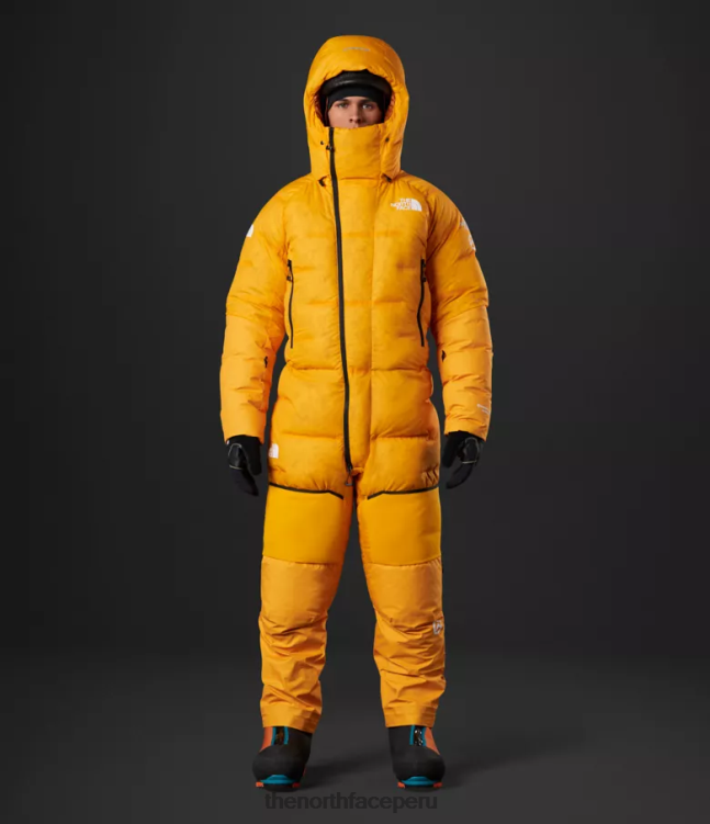 The North Face traje del himalaya hombres ropa 00TVT869 cumbre de oro