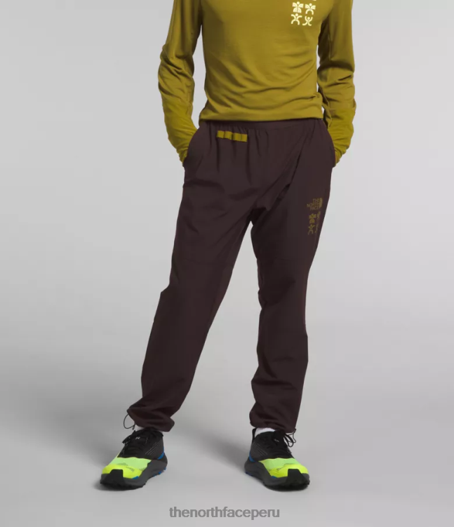 The North Face joggers trailwear okt hombres ropa 00TVT216 marrón carbón
