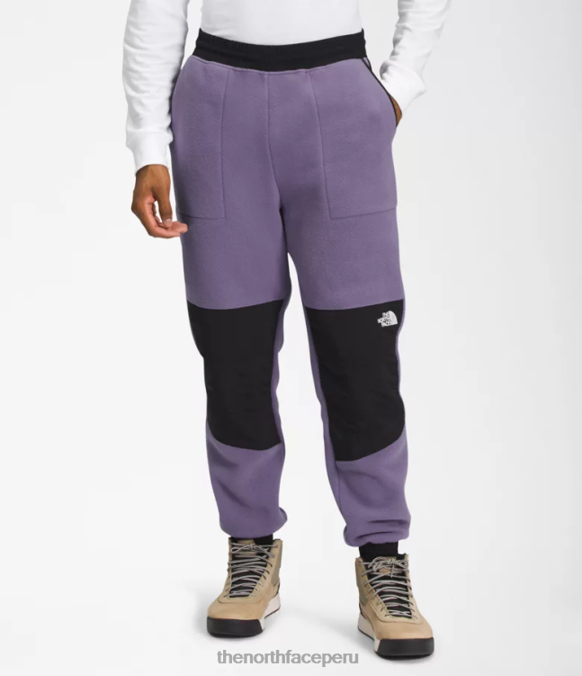 The North Face pantalones denali hombres ropa 00TVT880 pizarra lunar/tnf negro