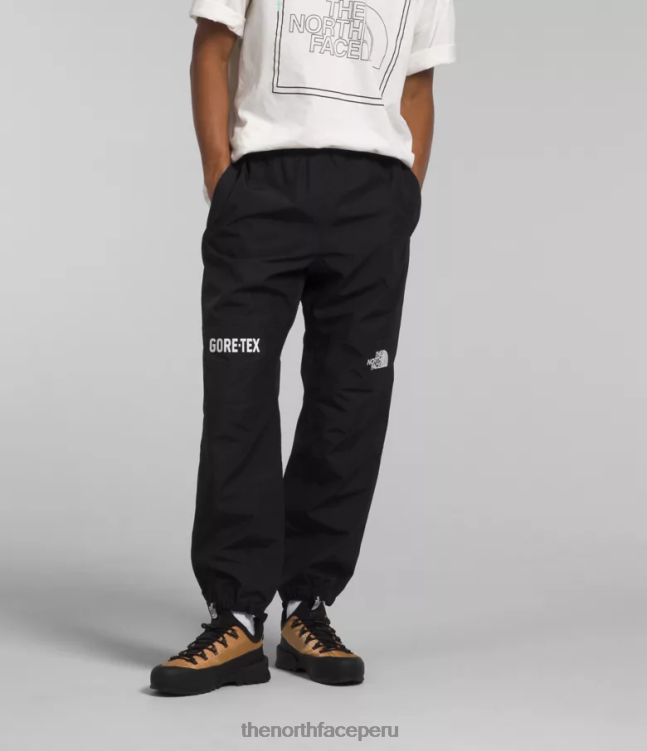 The North Face pantalon montaña gtx hombres ropa 00TVT1298 negro