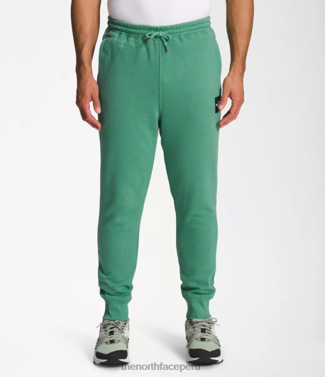 The North Face joggers box nse hombres ropa 00TVT1041 verde hierba intenso/negro tnf