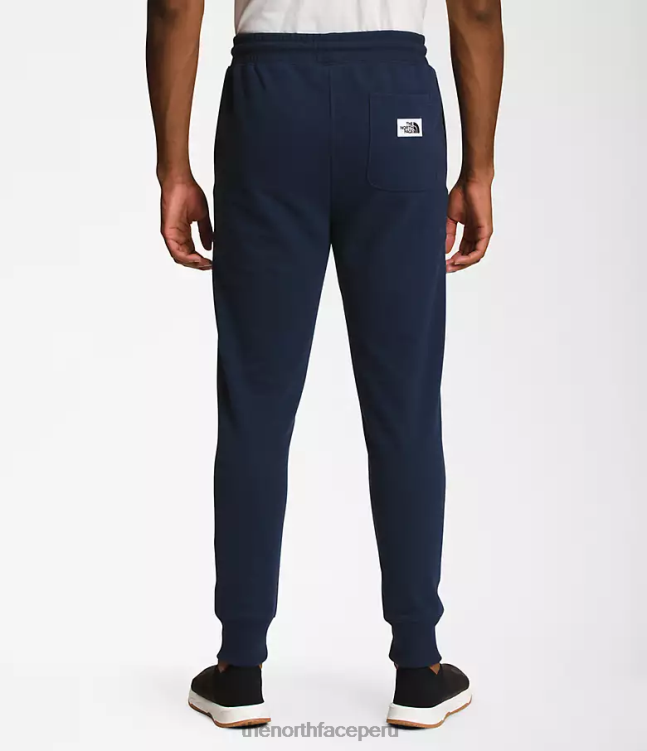The North Face joggers con parches Heritage hombres ropa 00TVT310 cumbre marina