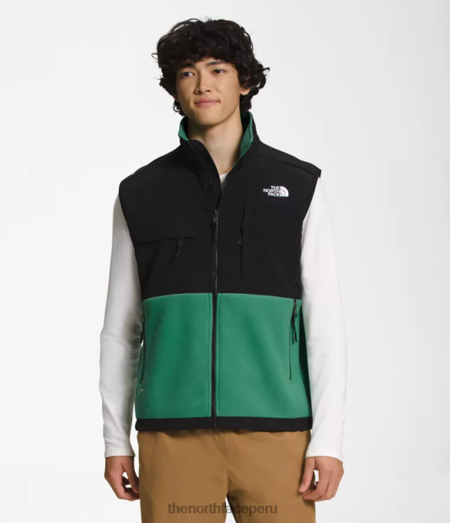 The North Face chaleco denali hombres ropa 00TVT601 verde hierba intenso