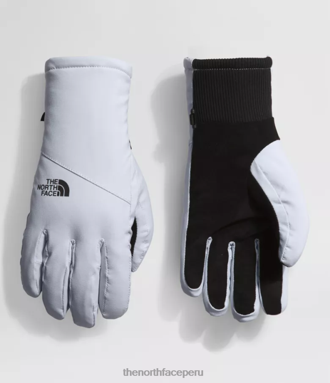 The North Face guantes shelbe raschel etip mujer accesorio 00TVT859 bígaro polvoriento