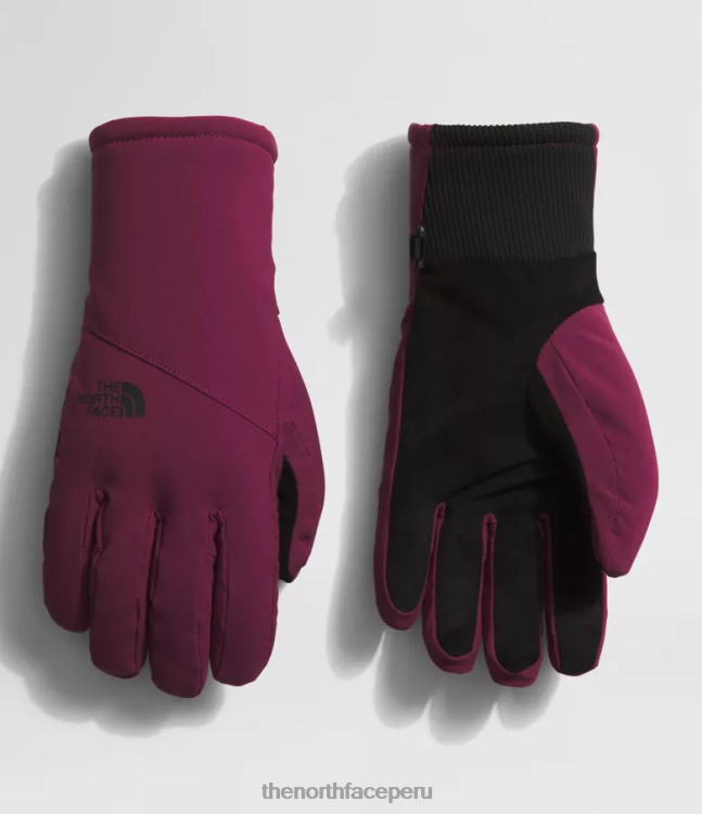 The North Face guantes shelbe raschel etip mujer accesorio 00TVT860 arándano