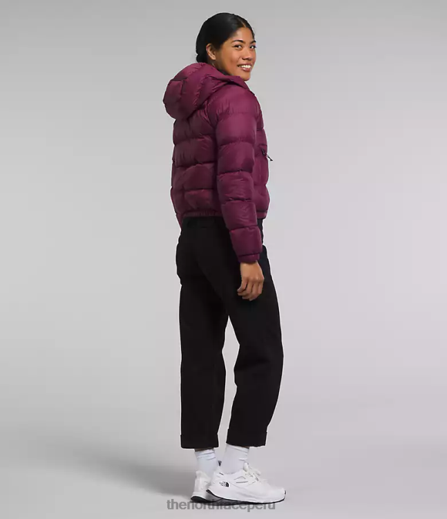 The North Face sudadera con capucha de hidrenalita mujer ropa 00TVT893 arándano