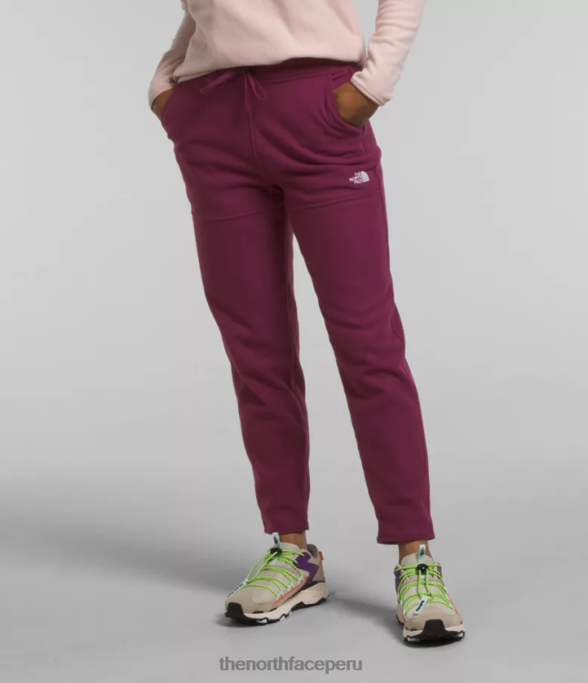The North Face pantalones alpinos polartec 100 mujer ropa 00TVT846 arándano