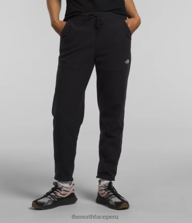 The North Face pantalones alpinos polartec 100 mujer ropa 00TVT847 negro