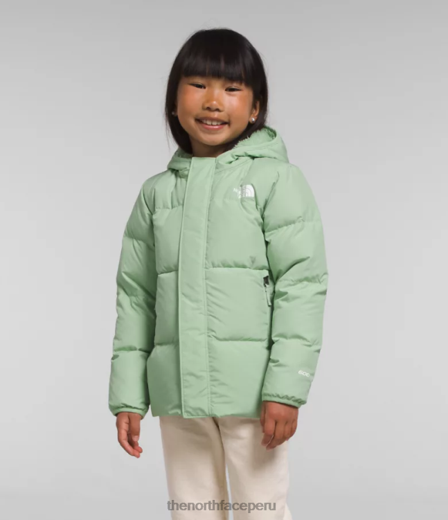 The North Face chaqueta con capucha North Down niños ropa 00TVT864 sabio brumoso