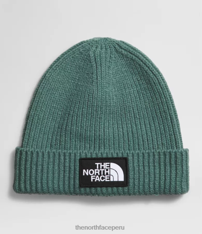 The North Face gorro con puños y logo de tnf niños accesorio 00TVT763 sabio oscuro