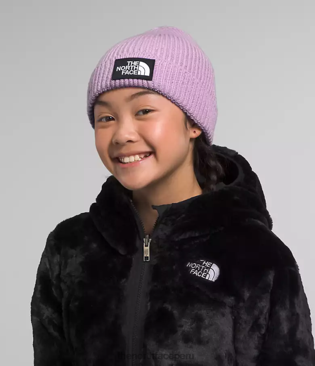 The North Face gorro con puños y logo de tnf niños accesorio 00TVT76 lupino