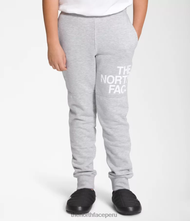 The North Face joggers polares camp niños ropa 00TVT394 tnf gris claro jaspeado
