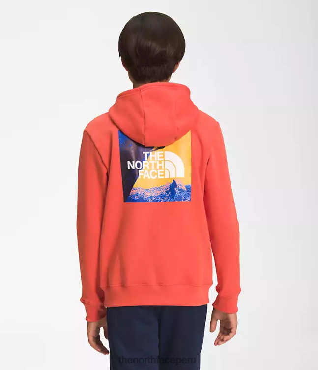 The North Face sudadera con capucha de lana de campamento niños ropa 00TVT1105 naranja retra