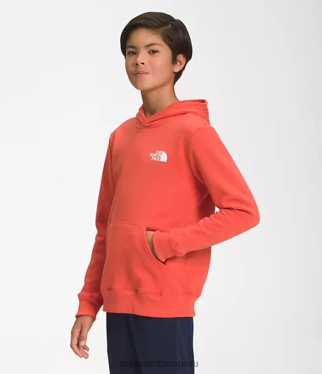 The North Face sudadera con capucha de lana de campamento niños ropa 00TVT1105 naranja retra