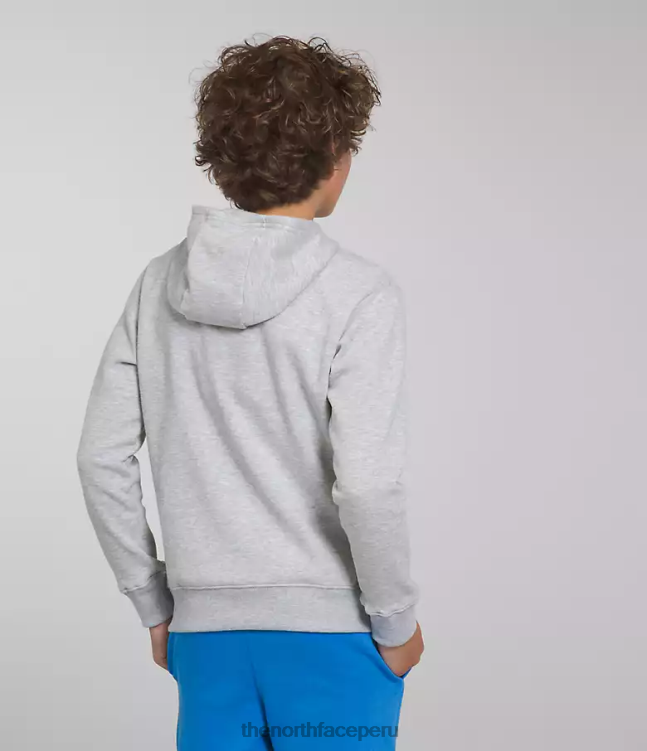The North Face sudadera con capucha de lana de campamento niños ropa 00TVT1108 tnf gris claro jaspeado/azul óptico