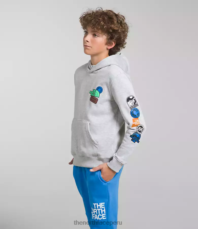 The North Face sudadera con capucha de lana de campamento niños ropa 00TVT1108 tnf gris claro jaspeado/azul óptico