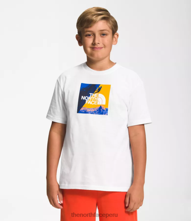 The North Face camiseta gráfica de manga corta niños ropa 00TVT1058 tnf blanco/oro cumbre